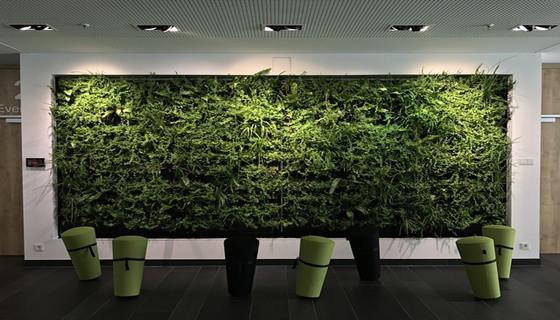 企業安全管理體系整合步驟有哪些？