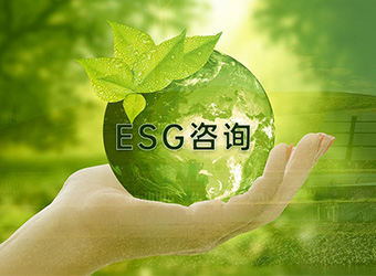 ESG咨詢
