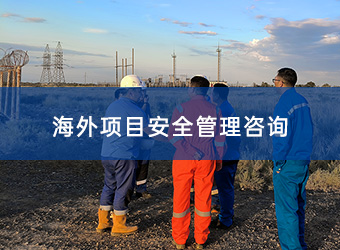 海外項目安全管理