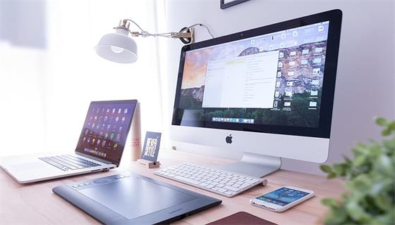 玩具企業碳信息披露咋操作？